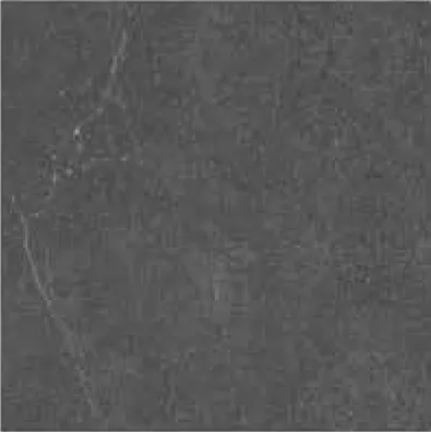 Venus Dark Grey Lappato 300x600