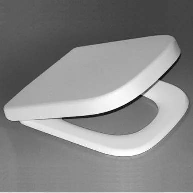 Cube Soft Close Toilet Seat Double Flap In White By Caroma
