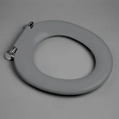 Pedigree II Single Flap Care Toilet Seat Die Cast Hinge Anthracite Nth In Grey By Caroma