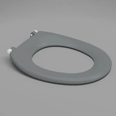 Caravelle Care Single Flap Toilet Seat Anthracite Nth | Made From Stainless Steel In Grey By Caroma