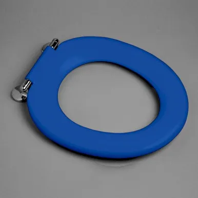 Pedigree II Single Flap Care Toilet Seat Die Cast Hinge Sorrento Blue In Blue/Sorrento Blue By Caroma