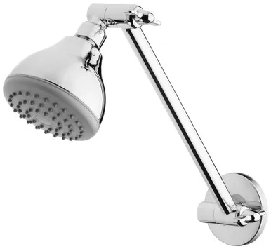 Ivy Shower Arm & Rose 3Star | Made From Brass In Chrome Finish By Phoenix