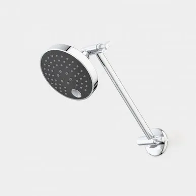 Pin Multifunction Adjustable Wall Shower In Black By Caroma