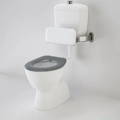 Care 400 Connector Trid Sov Snv Suite With Backrest & Caravelle Care Single Flap Seat Anthracite Grey Nth 4Star | Stainless Steel In White By Caroma
