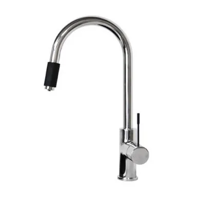 Indi 2 In 1 Round Sink Mixer Matte Black | Made From Brass In Chrome Finish/Black By ADP