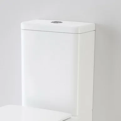 Liano Clean Flush Wall Faced Close Coupled Back Entry Back To Wall Cistern In White By Caroma