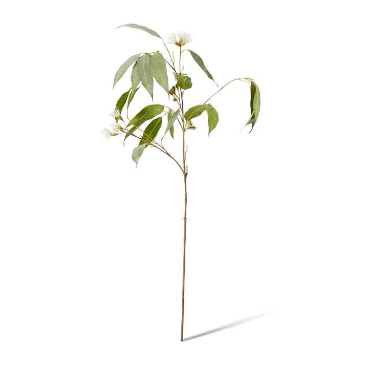 Eucalyptus Flowering Spray - 30 x 14 x 91cm
