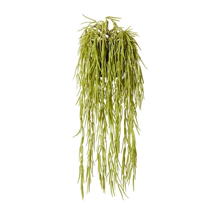 Wax  Vine Hanging-Garden Pot - 12 x 12 x 17cm