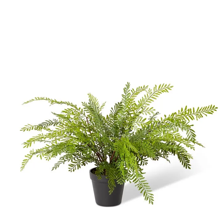 Mother Fern-Garden Pot - 15 x 15 x 46cm