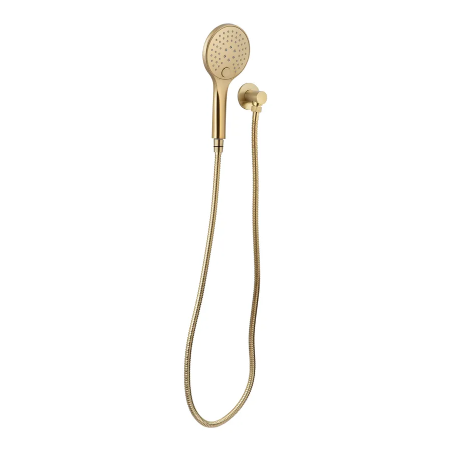 Aliro Accessible 3-Function Hand Shower Set - Brushed Brass