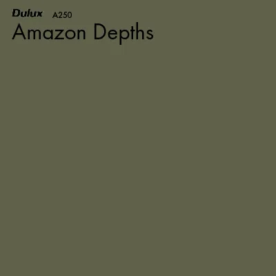 Amazon Depths