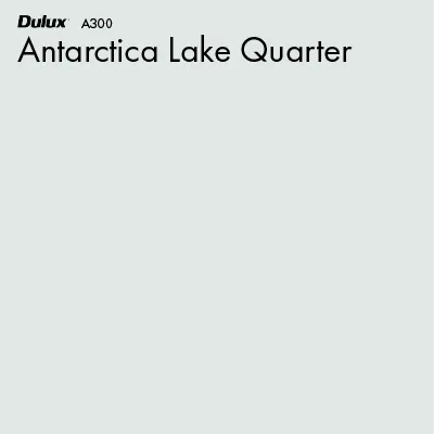Antarctica Lake Quarter
