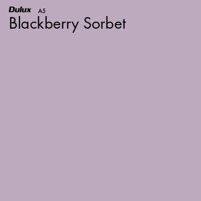 Blackberry Sorbet