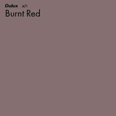 Burnt Red