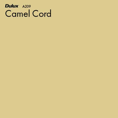 Camel Cord