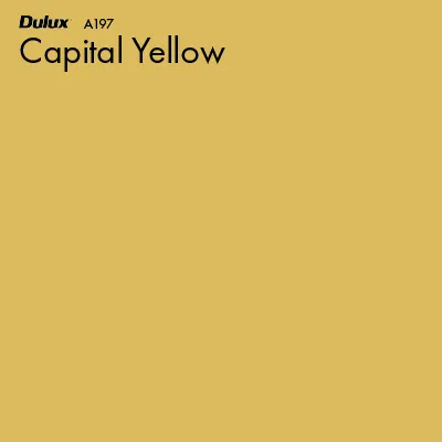 Capital Yellow