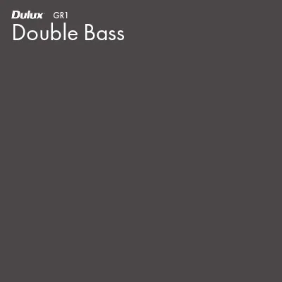 Double Bass