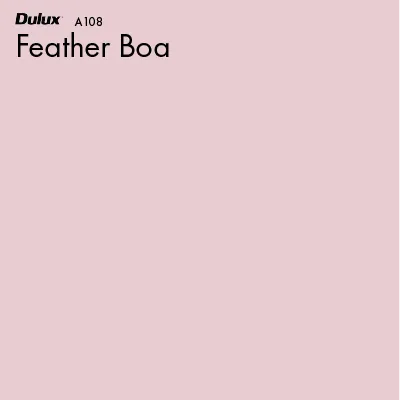 Feather Boa