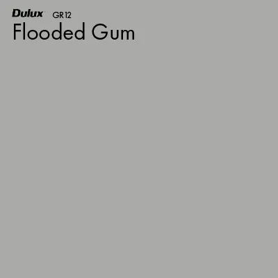 Flooded Gum