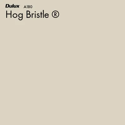 Hog Bristle®