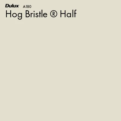 Hog Bristle® Half