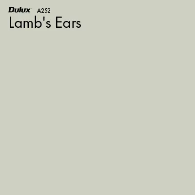 Lamb's Ears