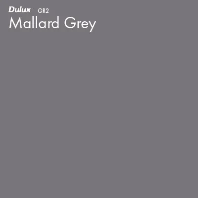 Mallard Grey