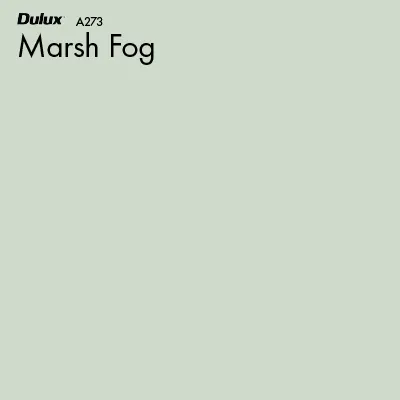 Marsh Fog