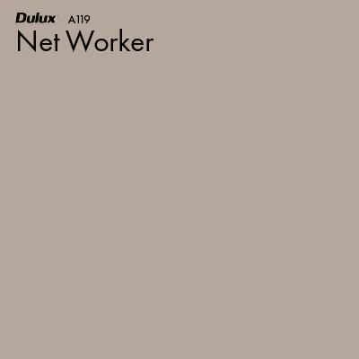 Net Worker