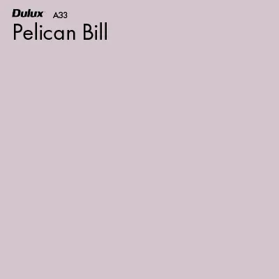 Pelican Bill