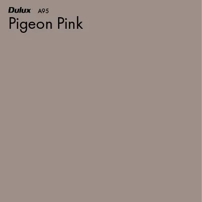 Pigeon Pink