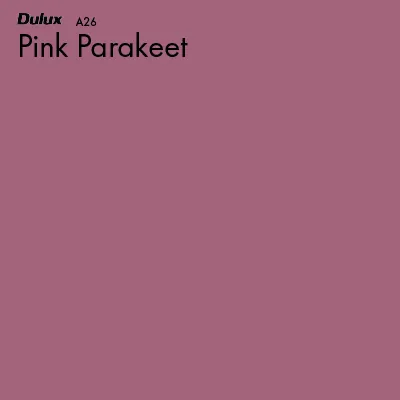 Pink Parakeet