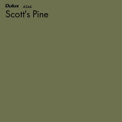 Scott's Pine