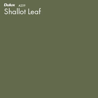 Shallot Leaf