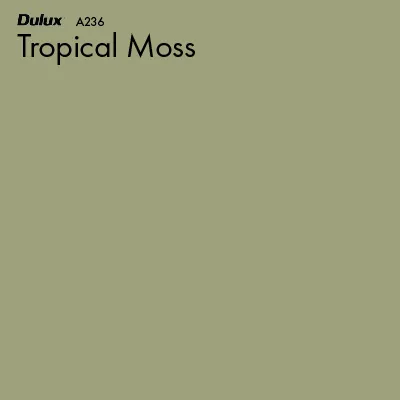 Tropical Moss