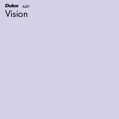 Vision