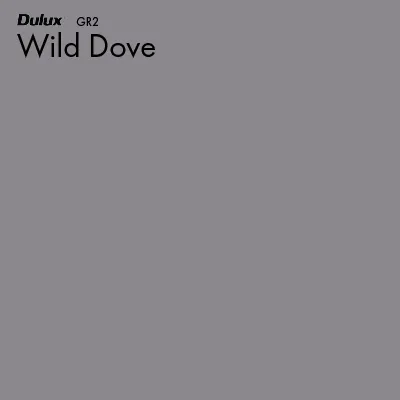 Wild Dove