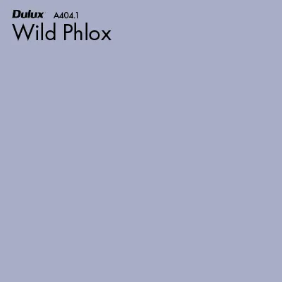 Wild Phlox