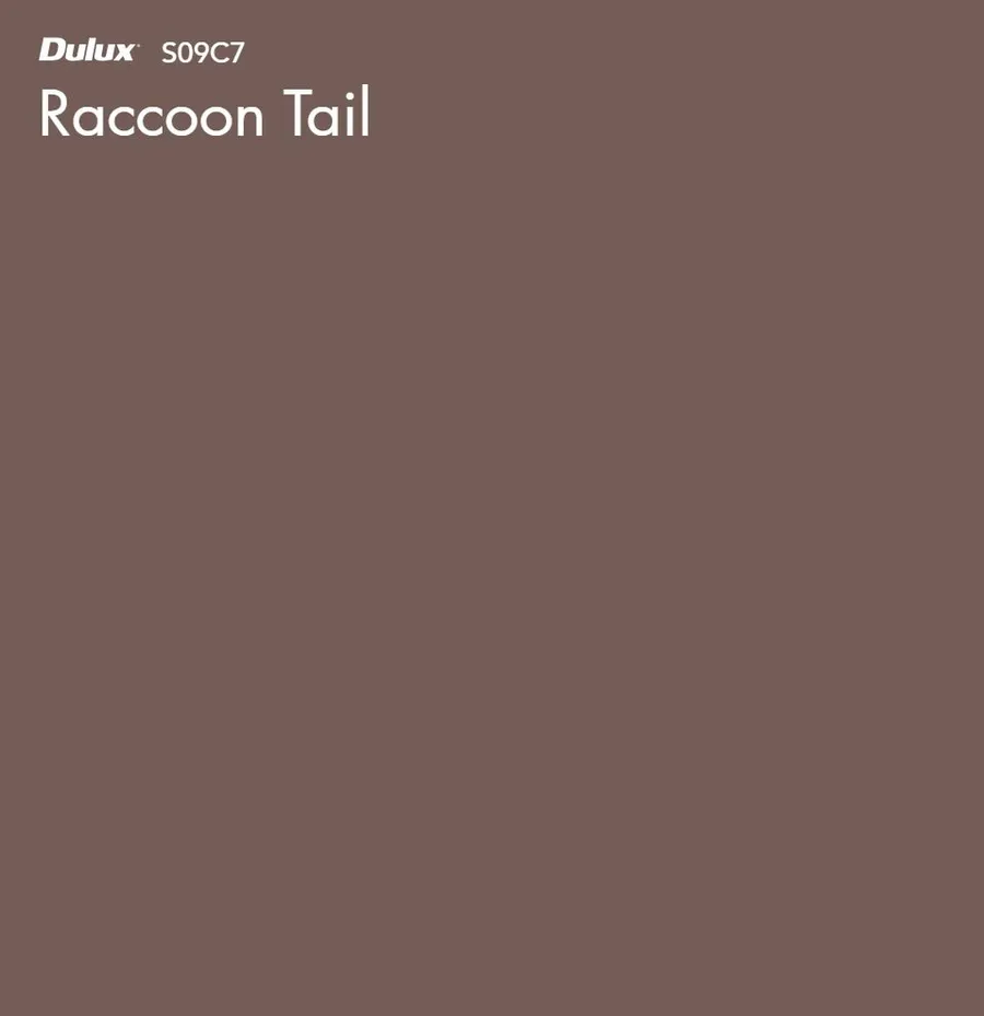 Raccoon Tail