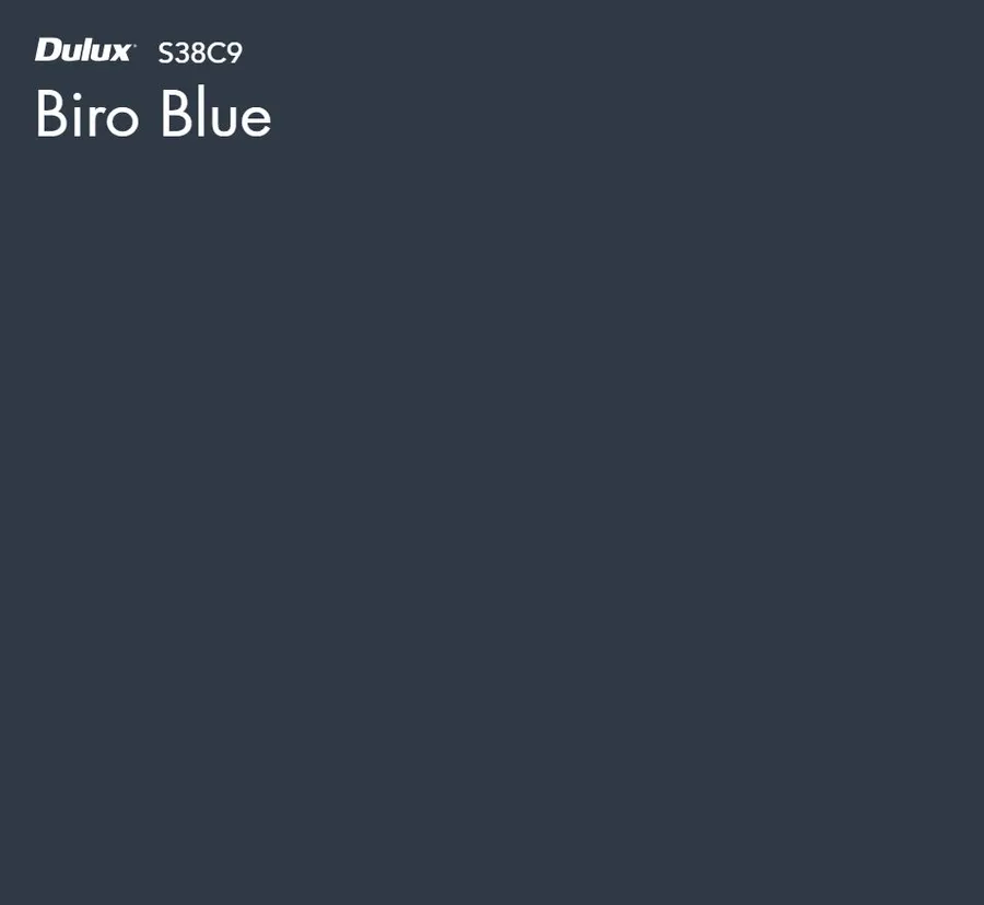 Biro Blue