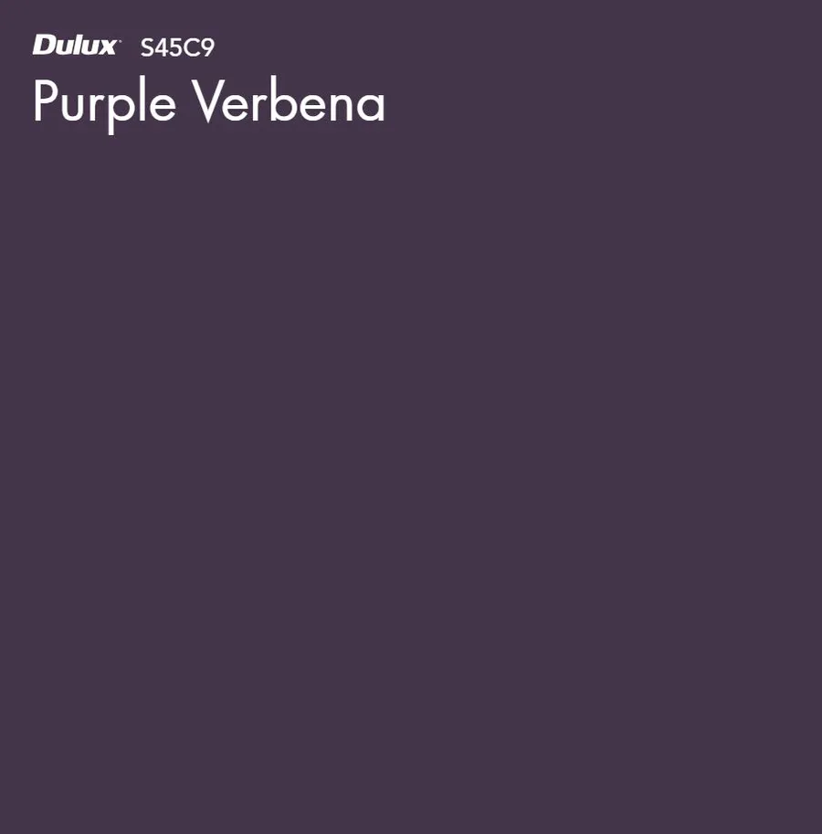 Purple Verbena