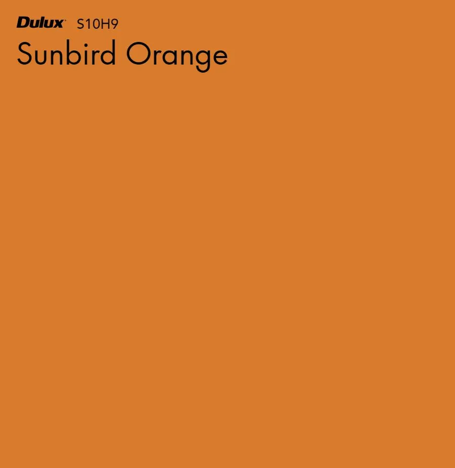 Sunbird Orange