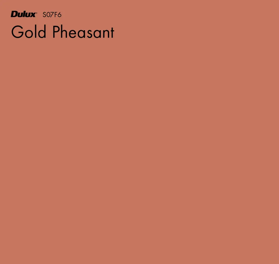 Gold Pheasant