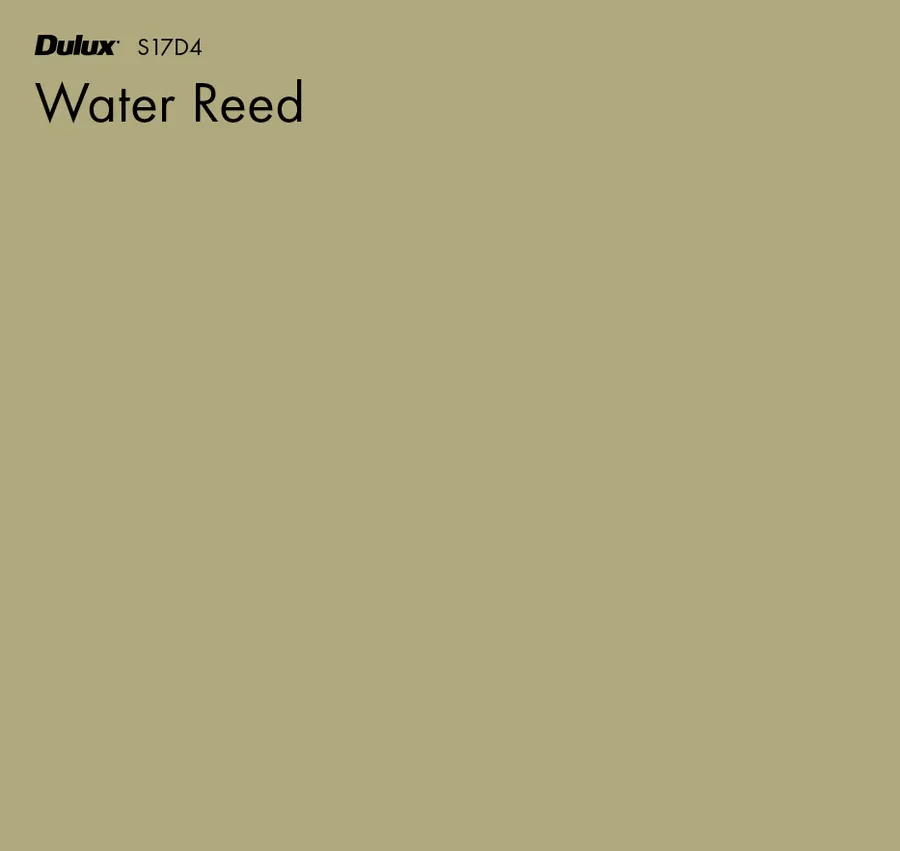 Water Reed