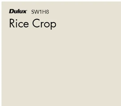 Rice Crop