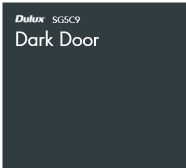 Dark Door