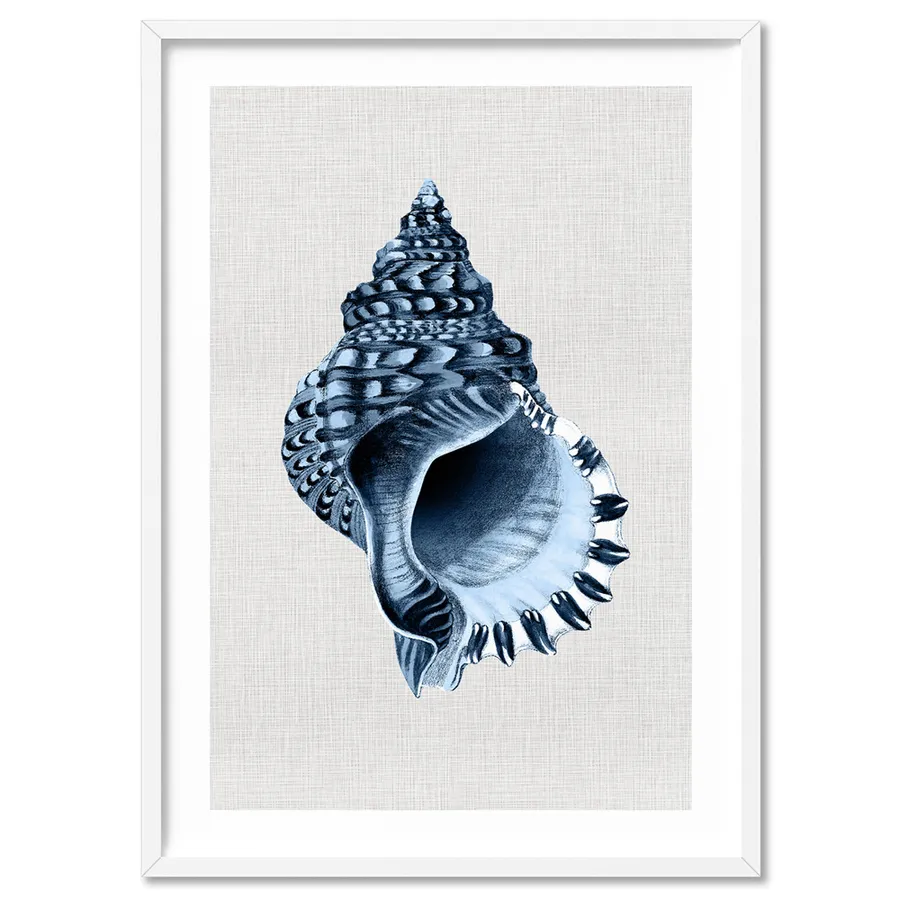 Sea Shells in Navy | Conch Shell - Art Print