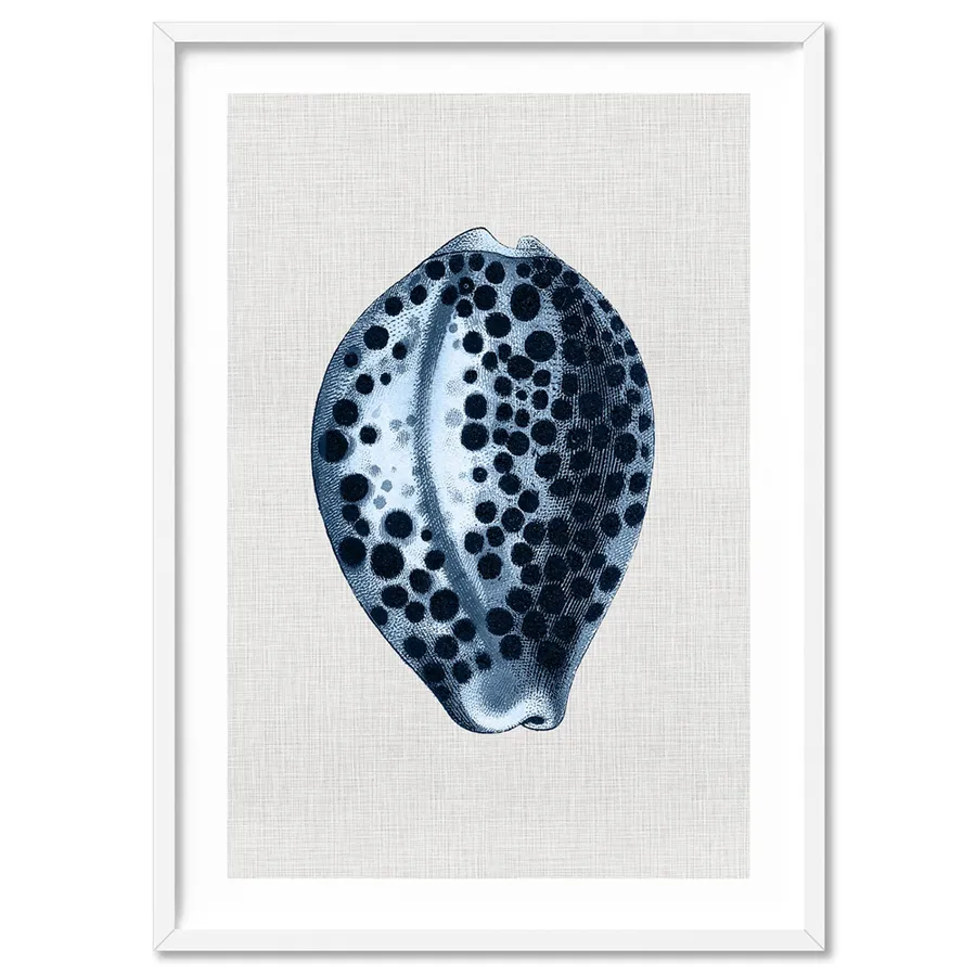 Sea Shells in Navy | Paua Shell - Art Print