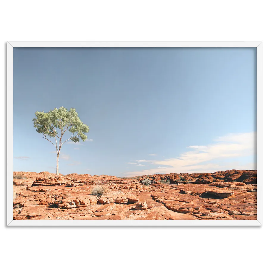 Lone Gumtree Outback View I - Art Print