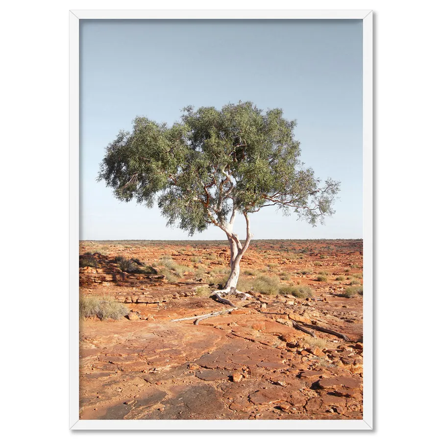 Lone Gumtree Outback View II - Art Print